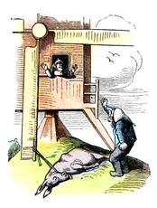 Bauer-Mueller 09.jpg